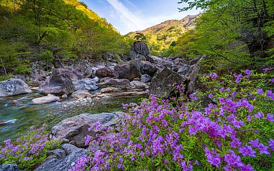 명상바위