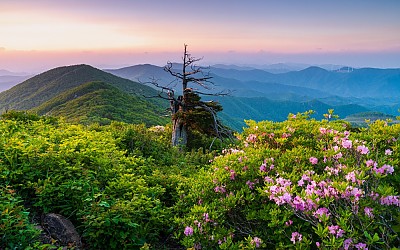함백산
