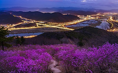 와룡산
