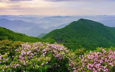 가지산