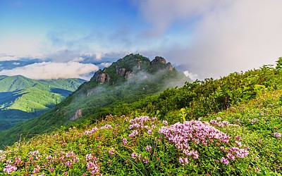 가야산
