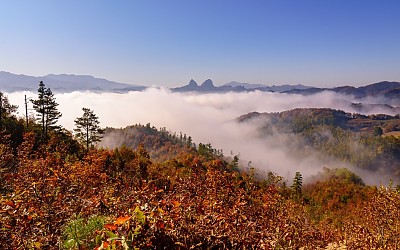 정수장