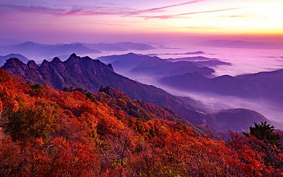 구봉산