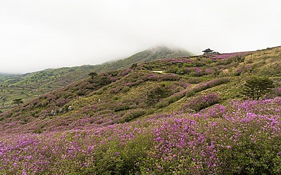 황매산