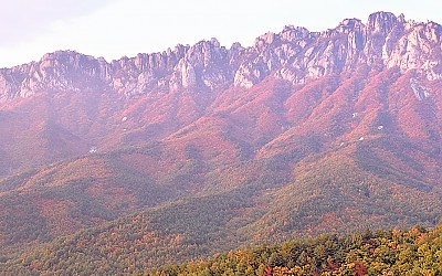 울산바위