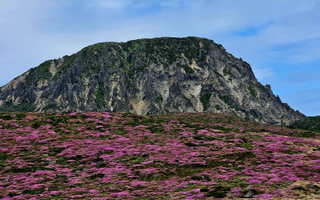 한라산.
