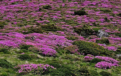한라산