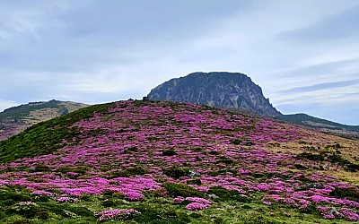 한라산.
