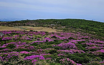 한라산.
