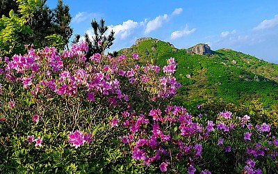 제암산.