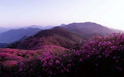 일림산.