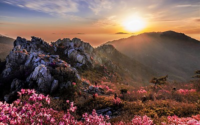 주작산 아침