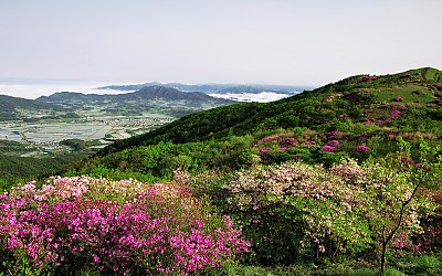 바래봉