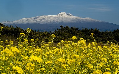 한라산이보이는풍경