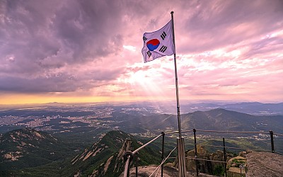 대 한 민 국....