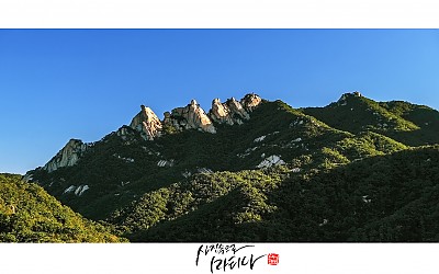 오봉보기...