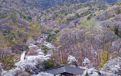 삼각산  봄..