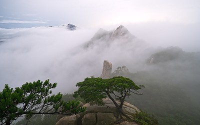 운해속으로...