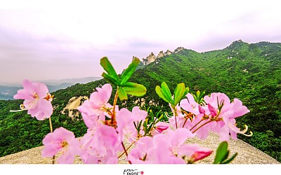 오봉보기.
