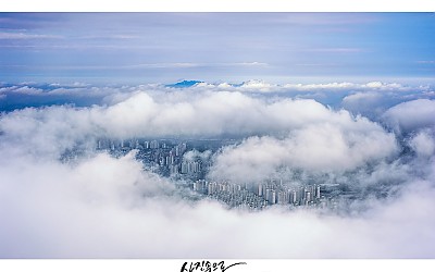 운해속으로..