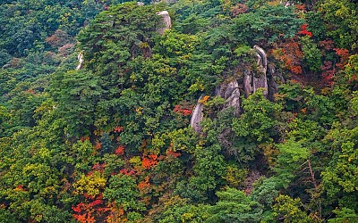 도봉산 단풍