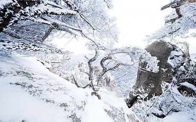 도 봉 산  에서..