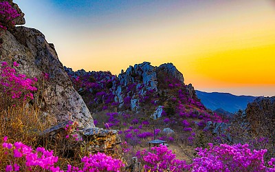 주작산 노을