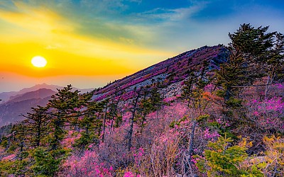 설악산