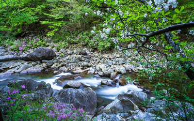 지리산 !
