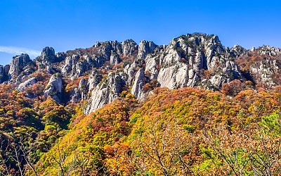 대둔산