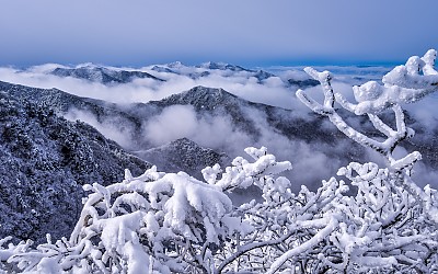 설천봉