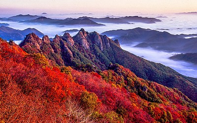 구봉산