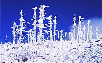 추억의 지리산 2