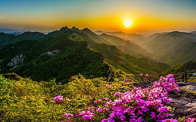 계룡산