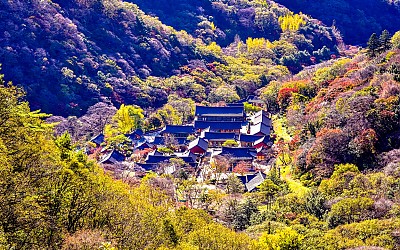 백양사 단풍