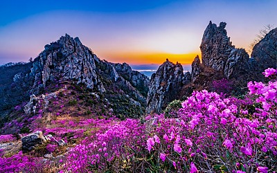 덕룡산