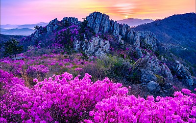 주작산