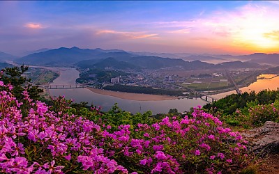 무동산
