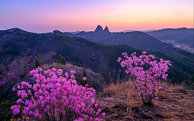 동촌리