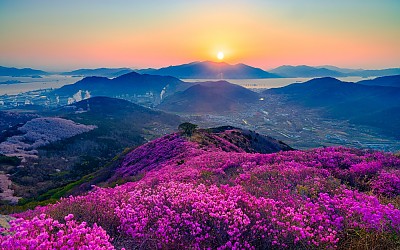 영취산
