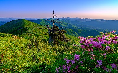 함백산