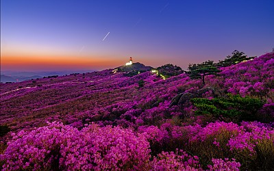 비슬산