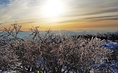 덕유산빙화