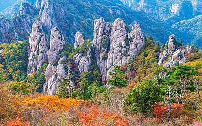 용아장성 단풍