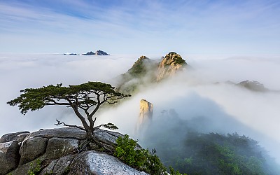 도봉산 운해경