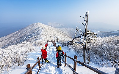 함백산의 춘설
