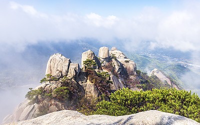 오봉의 봄