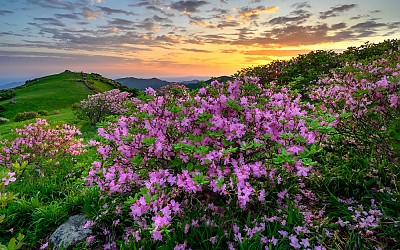 소백산