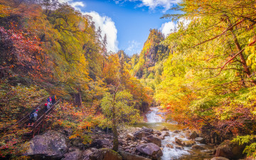 봉정암 오르는 길