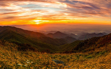 소백의 바람속에